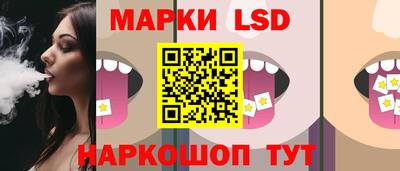 крисы Нальчик