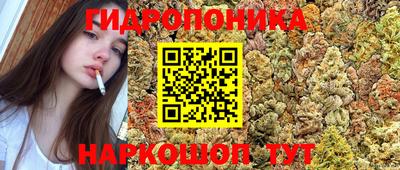 крисы Нальчик