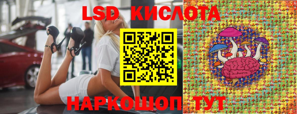 Наркотические марки 1500мкг Новозыбков