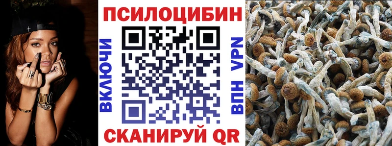 маркетплейс формула  Новозыбков  Галлюциногенные грибы прущие грибы  купить наркотики сайты 