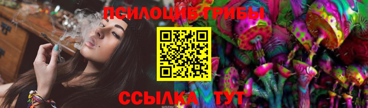 Новозыбков  Псилоцибиновые грибы Magic Shrooms  цена   Вход с VPN 